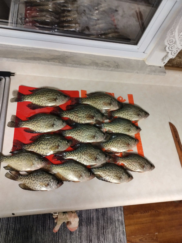 IMG_20240125_203654_HDR