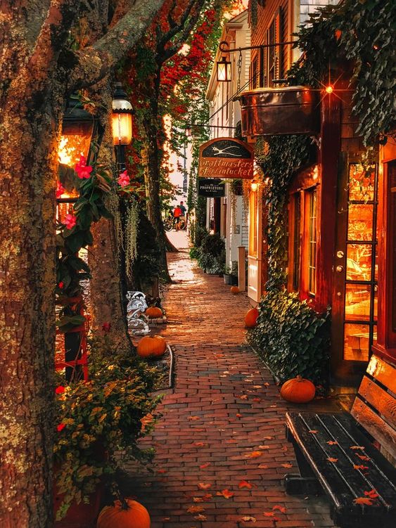 orangepumpkinstreet.jpg