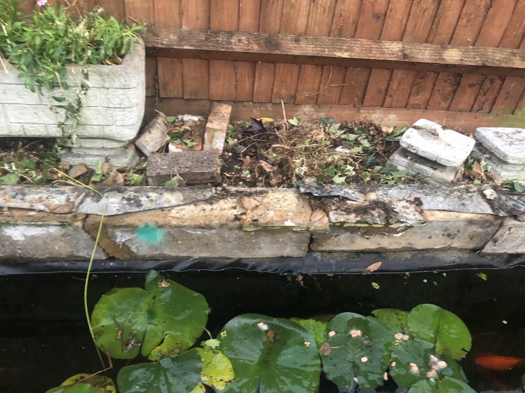 75BE3C73-A34C-4933-B88D-EAAE4E418FE1