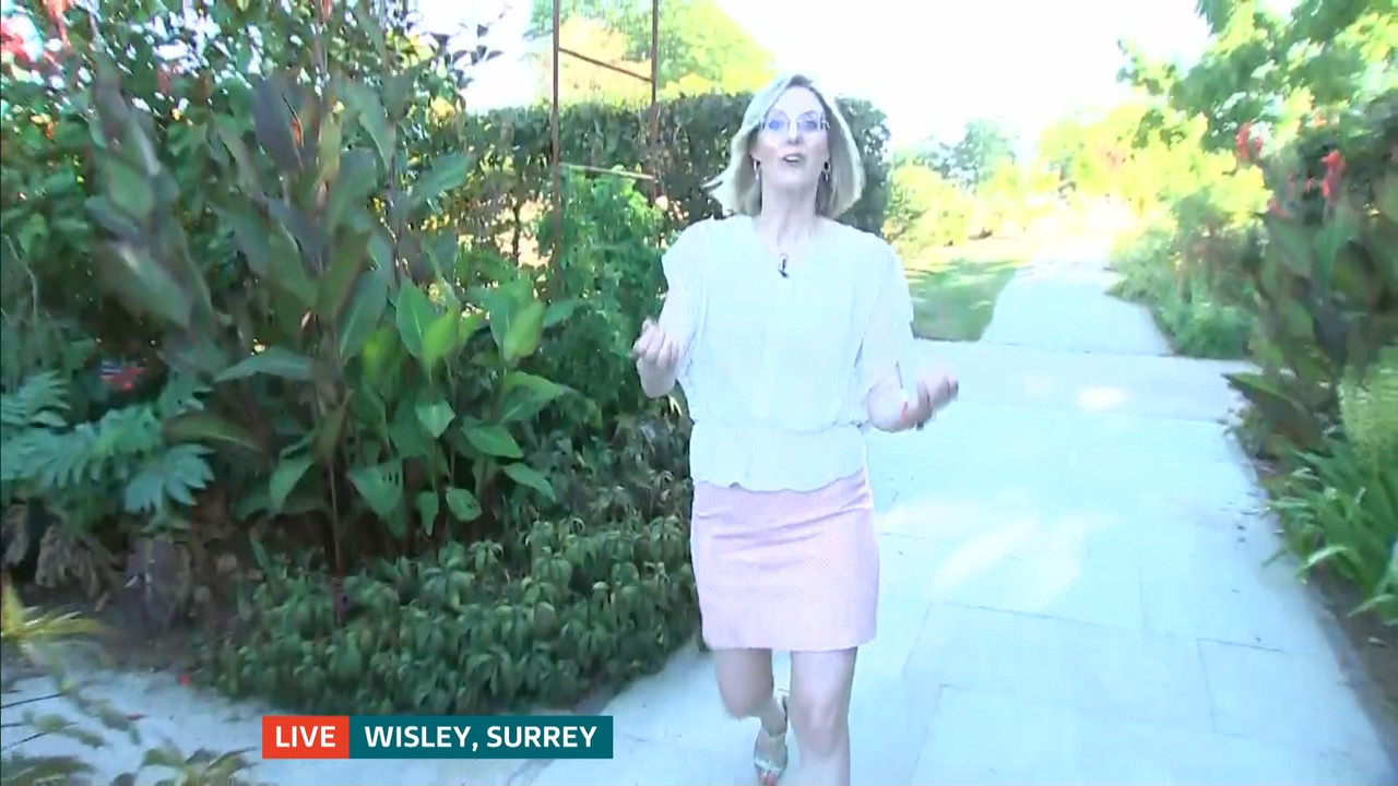 ITV News London_20220810_18001830.ts_snapshot_21.35.299
