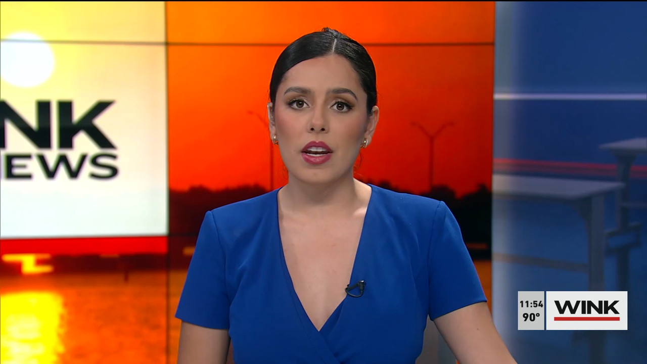 07.23 - 16.30.00 - WINK NEWS at 11 30am. Midday news..ts_snapshot_31.07.942