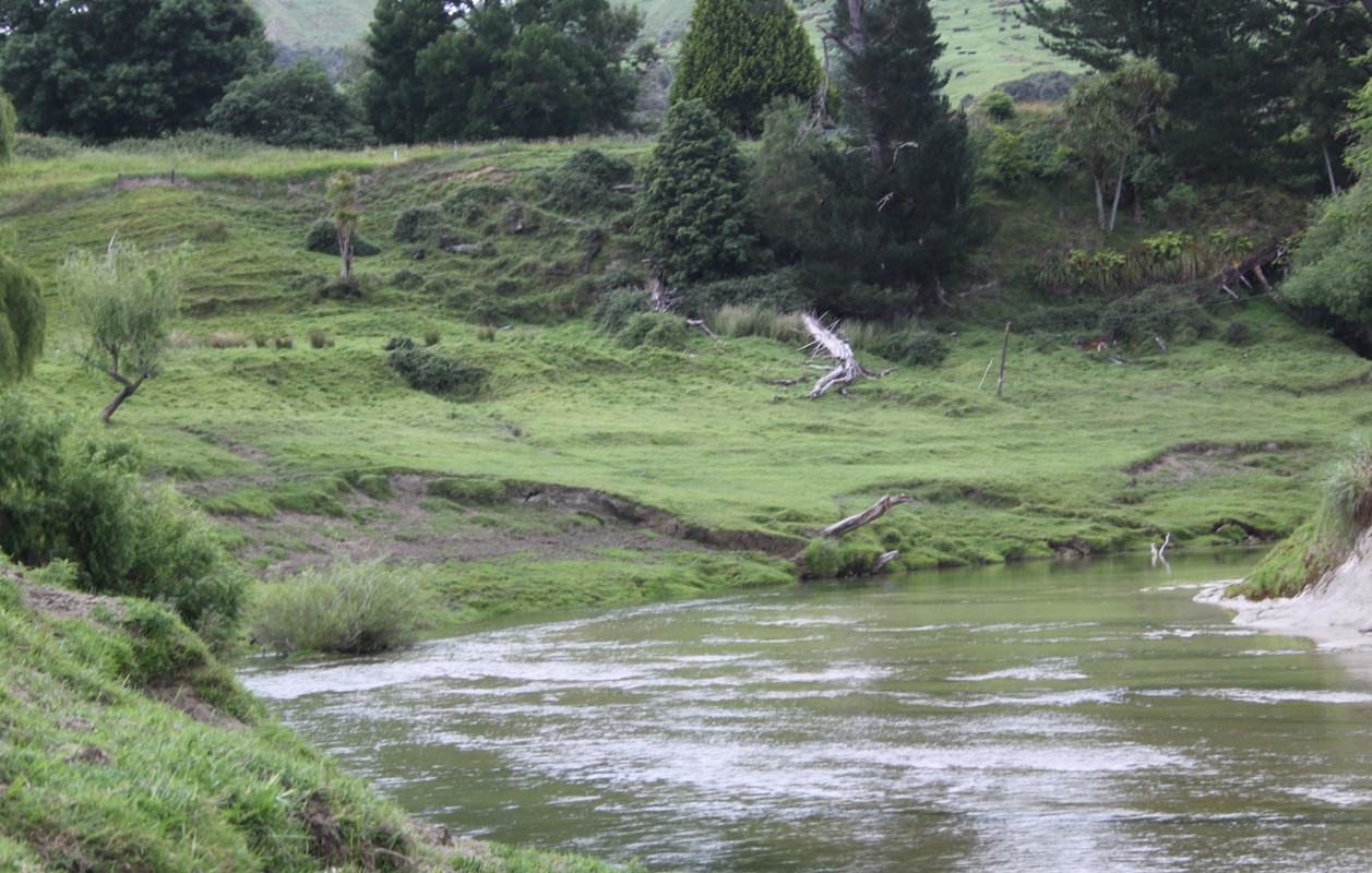 Kotare-River-before-floods.jpg