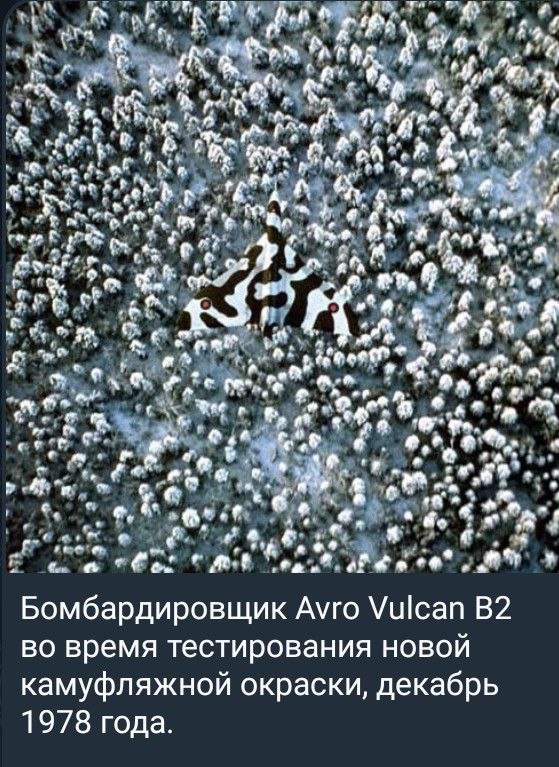 photo 2026 05 07 02 40 09