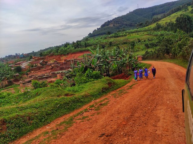 18 días por las tierras más remotas de Uganda y Kenya - Blogs de Africa Este y Centro - Granada - Bwindi (4)