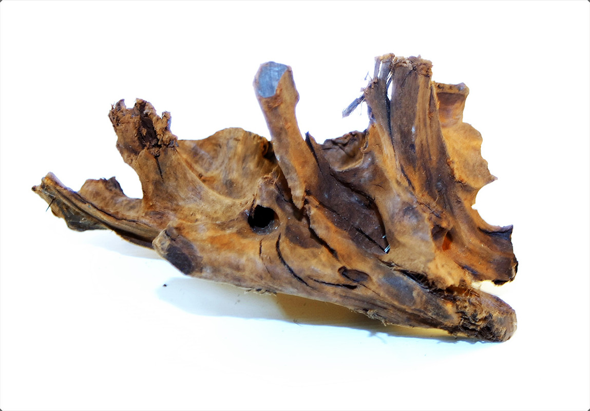 Malaysian Driftwood for Sale