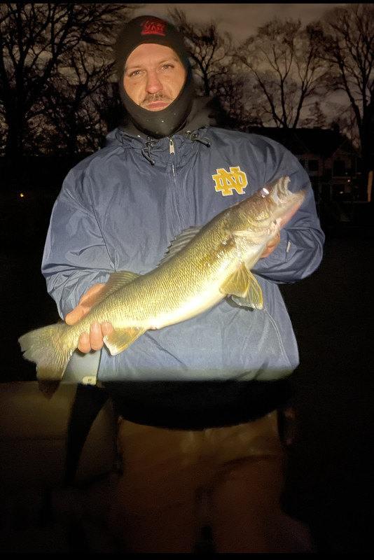 D465CD5F-D12F-42FD-9B05-49E6D006AB27