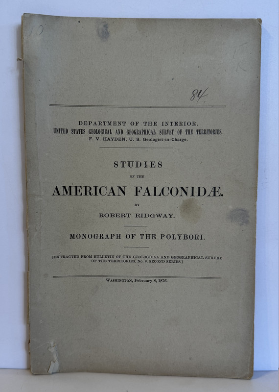 Studies of the American Falconidae