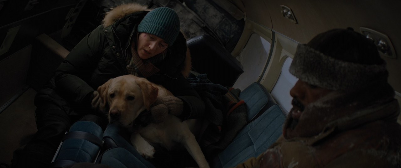 The Mountain Between Us 2017 (1080p x265 10bit Tigole).mkv_snaps