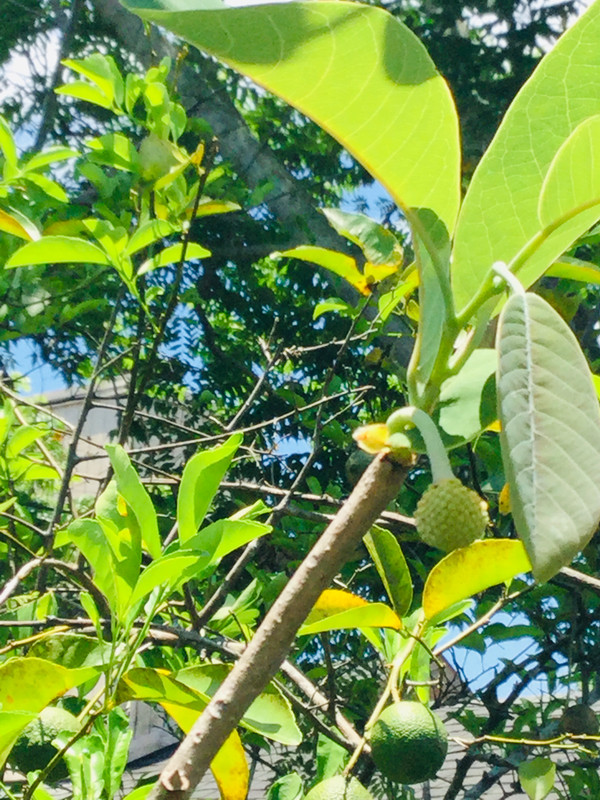 ED53C6CC-696F-40A5-918D-F8FB95CAAFD8