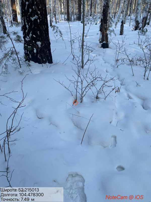 IMG 20260127 004848 129