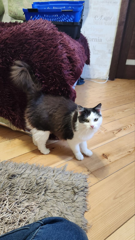 IMG-921afcb5c2fa85ad8424d8dbe26b5a5b-V