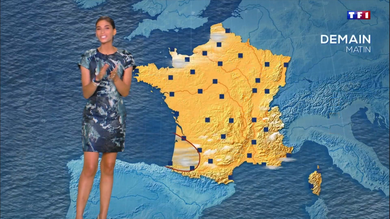 2021-07-21_20_00_TF1_Le-20h.mp4_snapshot_00.01.45.862