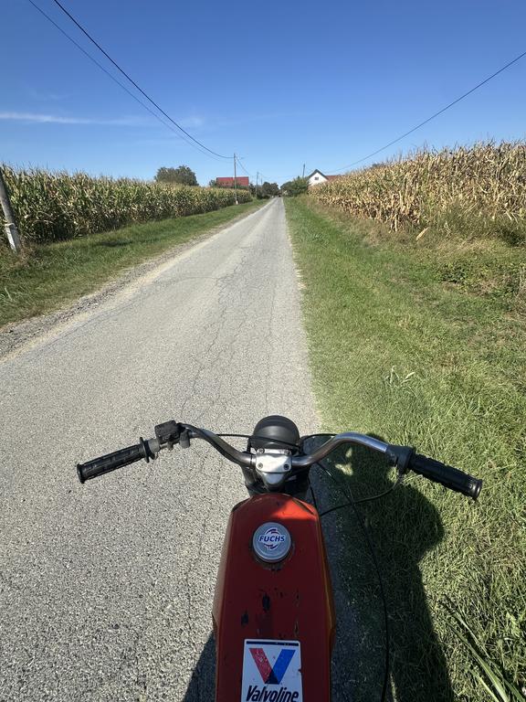 IMG 2182