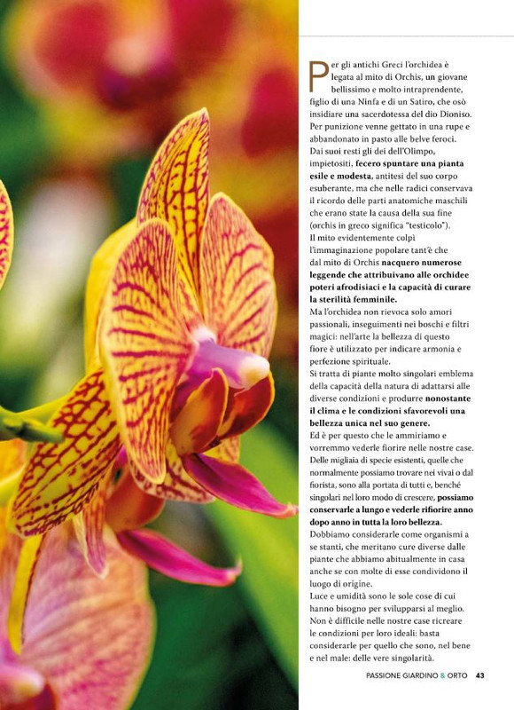 Pass Giar e orto Dic 2025 (12)