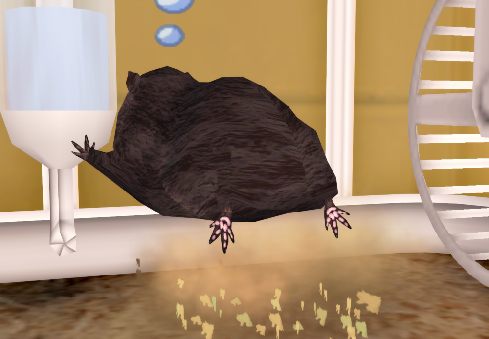 Sims2-EP9-RPC-2022-01-22-19-26-16-91