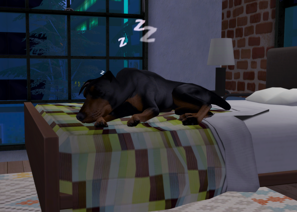 Sims2-EP9-RPC-2022-07-08-21-11-32-19