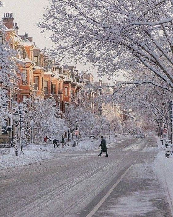 whitesnowstreet.jpg