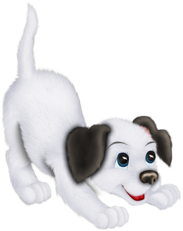 Christmas in Forest6