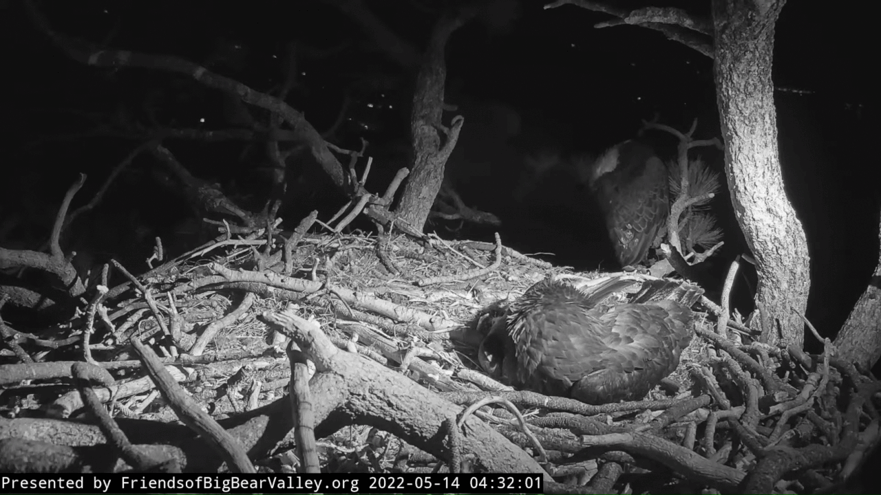 Webp.net-gifmaker (4)