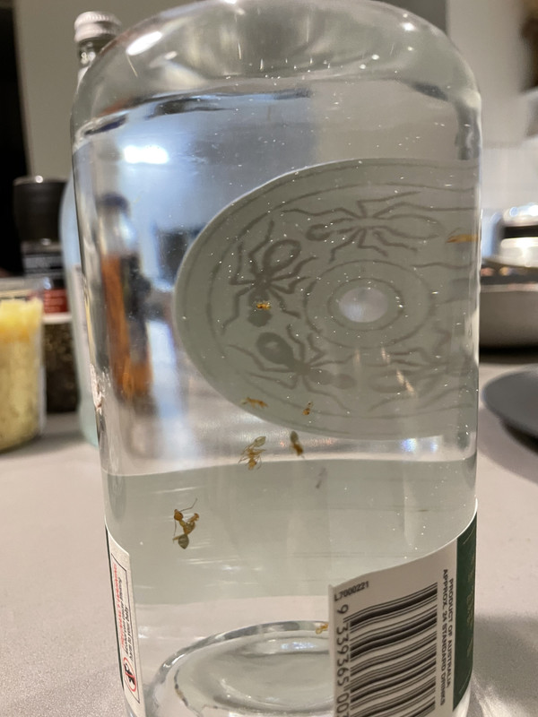 8FDA91FE-AAAD-49EE-BE5C-F14376BD3DF5