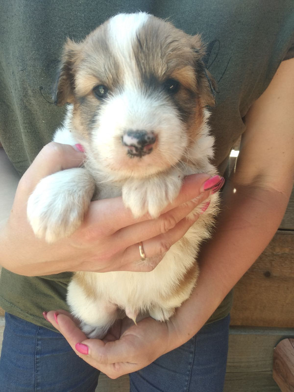 изображение_viber_2020-06-12_20-00-38