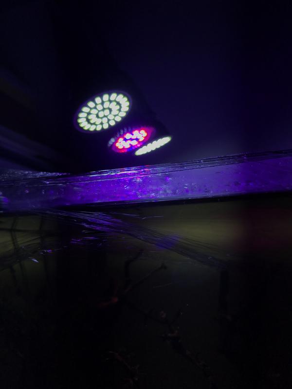 544F19E7-DF3A-4F84-8F94-4C6FC2B667AB