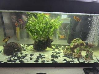 17390226703561913086266845522189