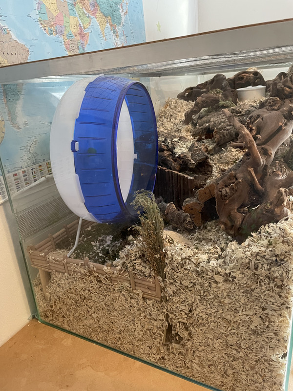 6E5EE650-3F56-48A4-B0C1-2CBB41EF85CB