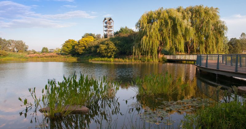 144373984-10159021576335699-2501657691569976424-n