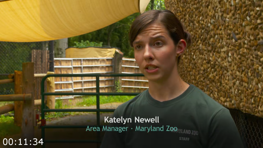 [Image: 23ytunpf6rt5.png]