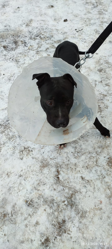 WhatsApp Image 2023-12-28 at 14.39.21 (2)