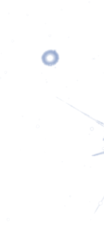 Untitled931 20260113233445