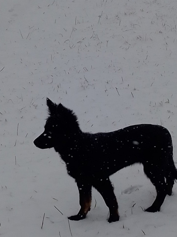 изображение_viber_2020-02-18_17-09-т