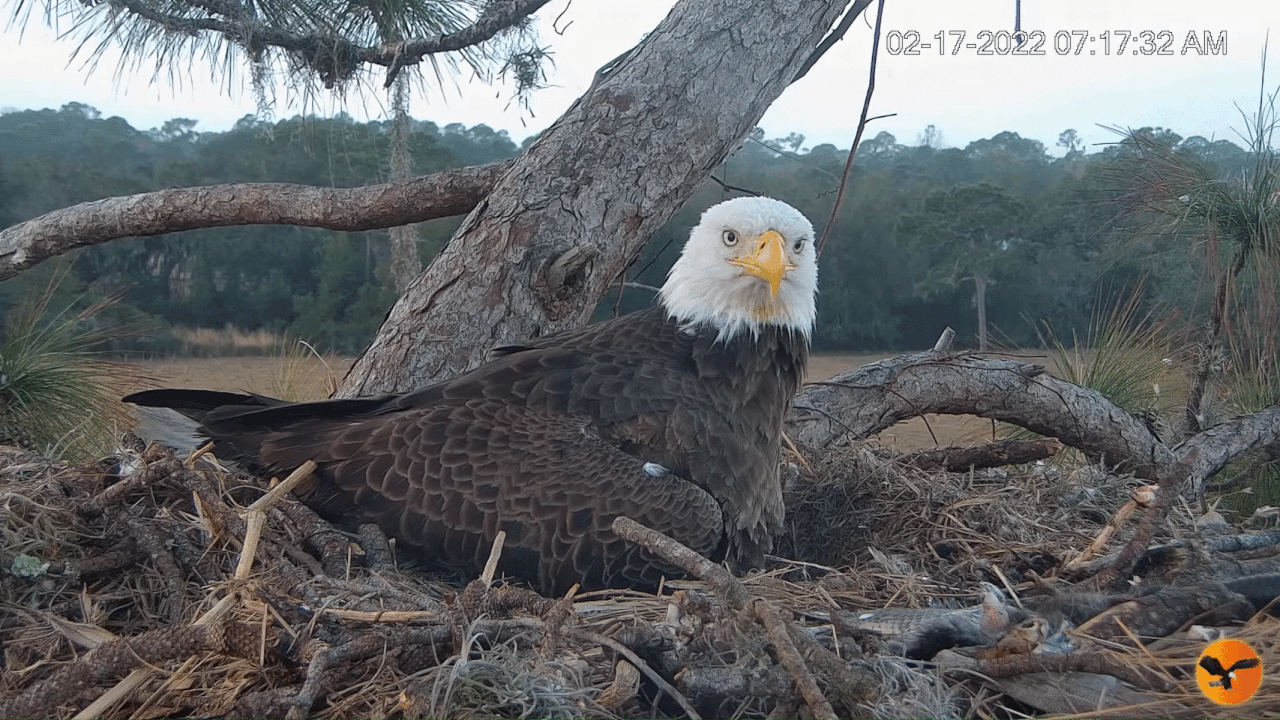 Webp.net-gifmaker (3)