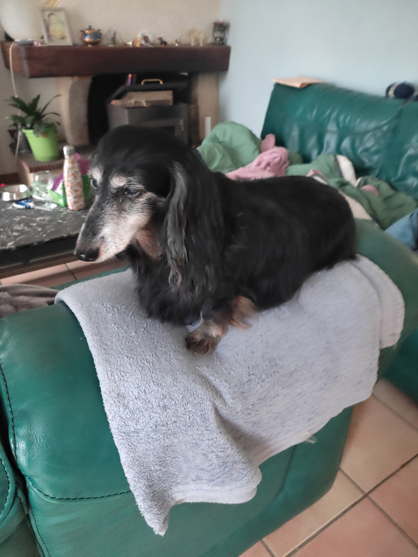 [Image: IMG-20240331-094829.jpg]