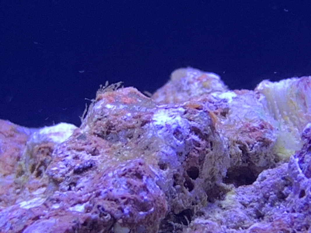 F8F60B50-8718-4056-8614-2AB7248B73D4