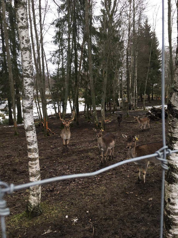 50A740FF-C0A1-461A-8605-A353DCE6B56B