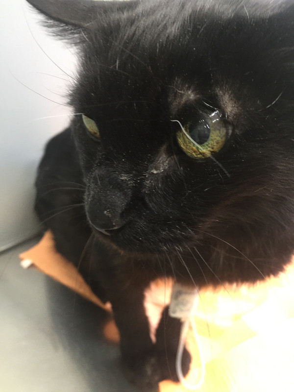 DB37337A-8239-47F2-9DC6-51CC342684D8