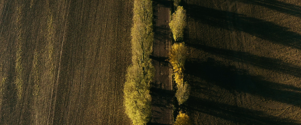 vlcsnap-2022-03-01-13h59m55s126