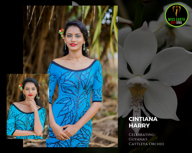 CANDIDATAS A MISS TIERRA GUYANA 2019.  FINAL 15 DE JUNIO 09199-FF1-14-C3-4-AEC-89-E0-A91-B3-E613637