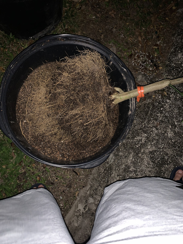 E5435C0E-D3BD-4219-8EEF-CA708B62CF80