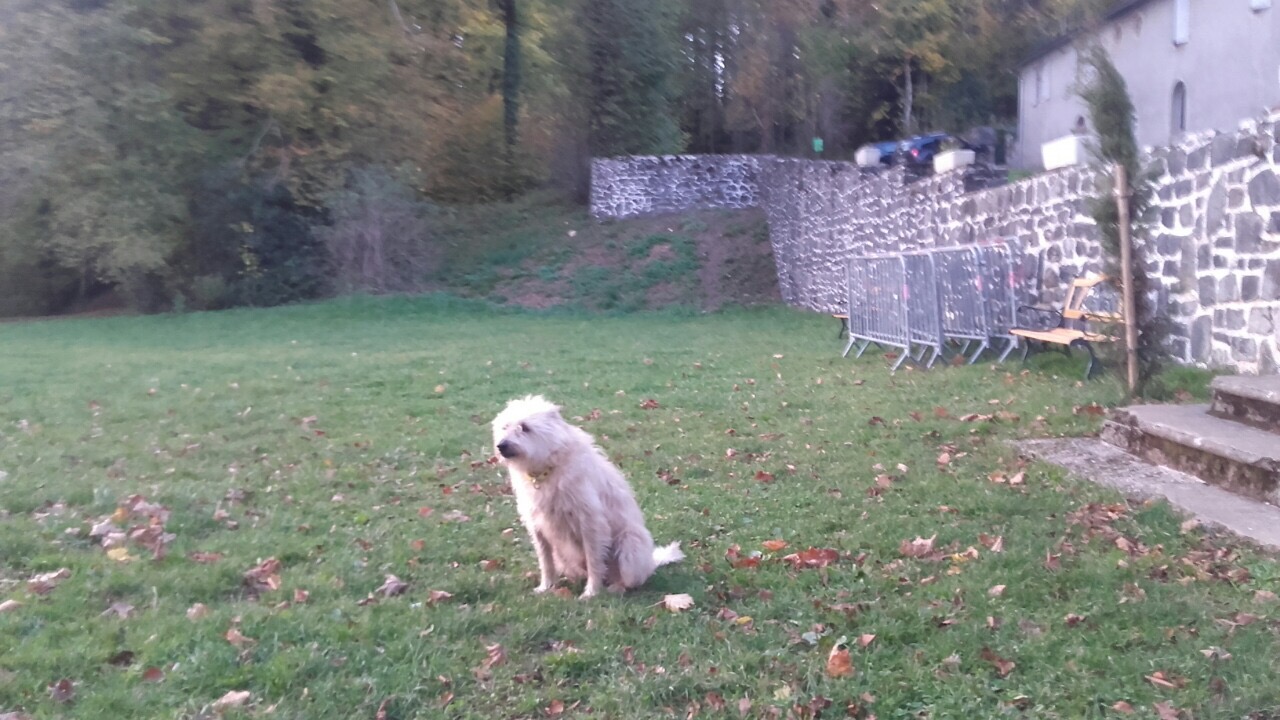 D75E8C1F-ADC5-44BF-9EC9-C79E03B089D9