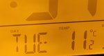 IMG-20241231-005842.jpg