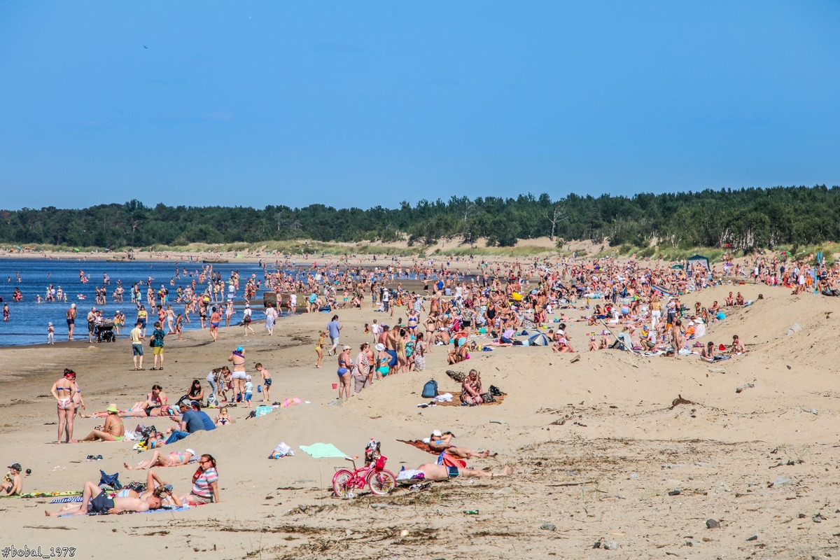 белое море ягры