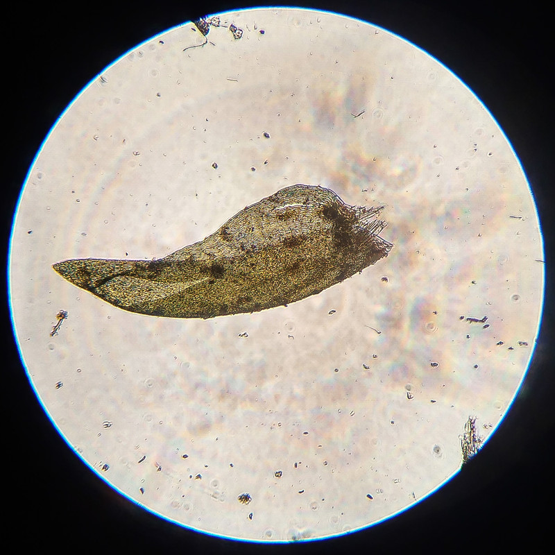 IMG 20250616 220017 HDR