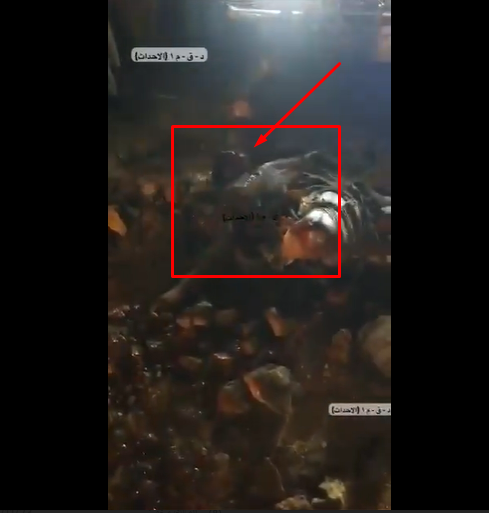 [Image: 0n0n0n0n.png]