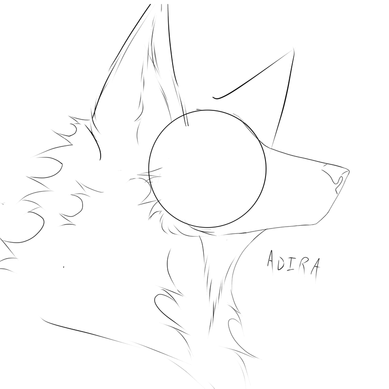 61B1B089-B1B8-4962-BEE6-857E8938D7D8