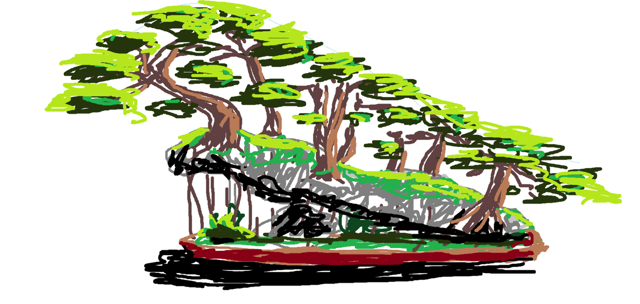 bosque sobre roca