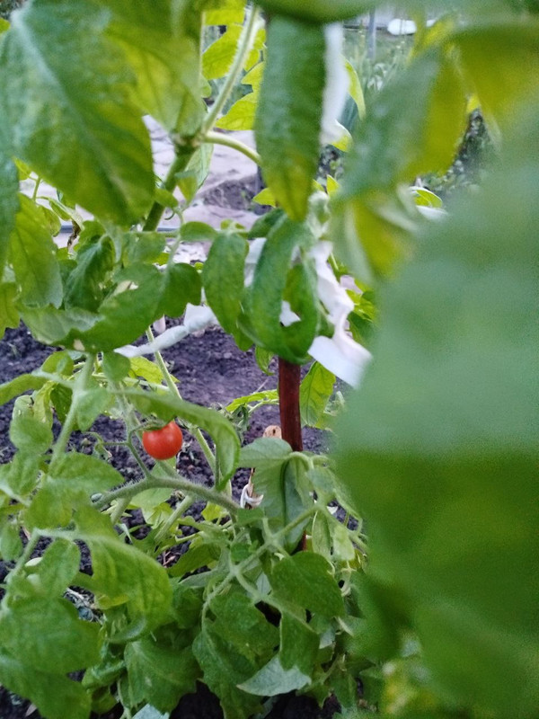 IMG_20250510_093918_325