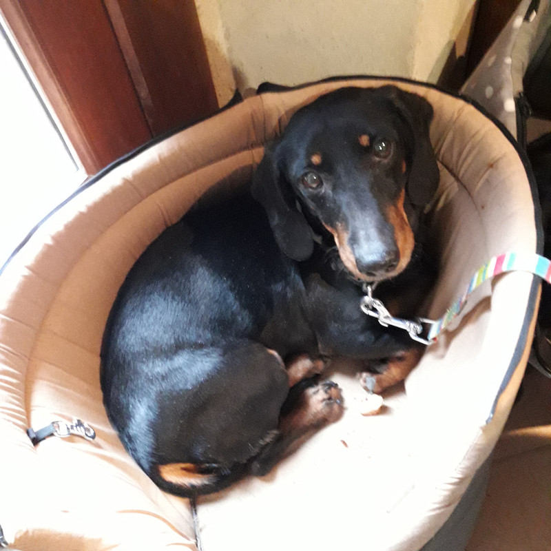 [Image: 20191110-141550.jpg]